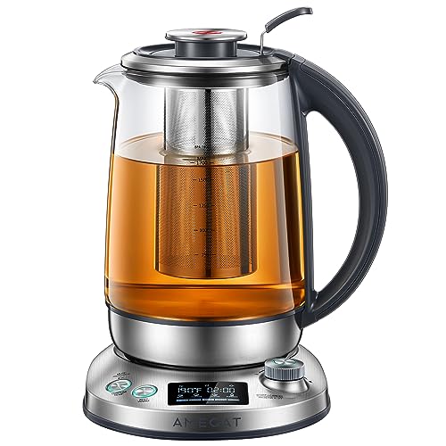AMEGAT Tea Kettle Electric with Removable Infuser