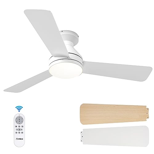 Amico Ceiling Fans with Lights