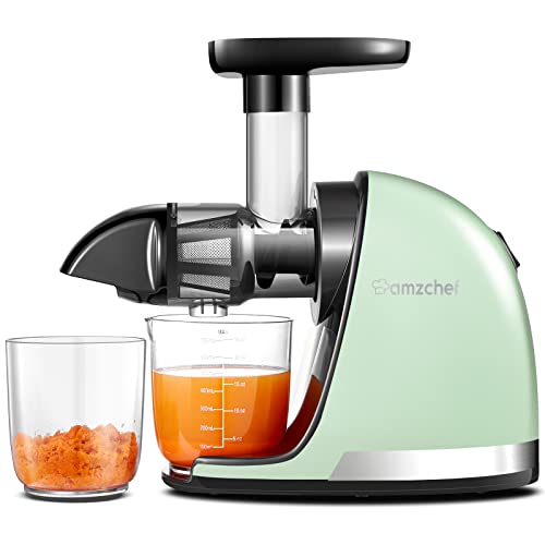 AMZCHEF Slow Juicer with Reverse Function