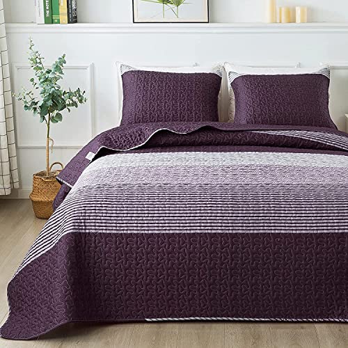 Andency Purple & Grey Stripe Quilt Set - Queen Size