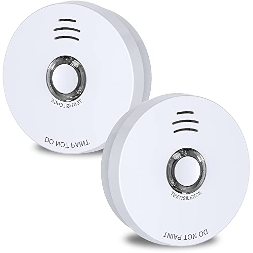 Andyssey Smoke Detector, 10 Year Battery Operated Smoke Alarm with LED Indicator, Photoelectric Fire Alarm Smoke Detector with Test & Silence Button for Home, 2 Packs