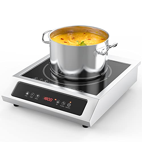 ANHANE Countertop Burner Induction Hot Plate Electric