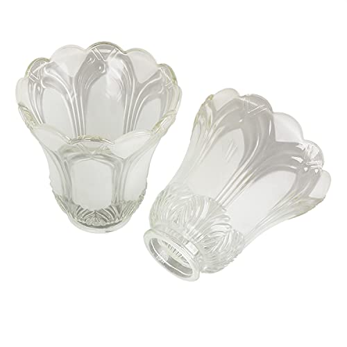 Anmire 2 Pack Glass Shade for Light Fixtures