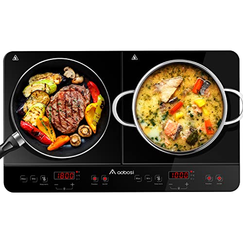 Aobosi Double Induction Cooktop Burner with Timer