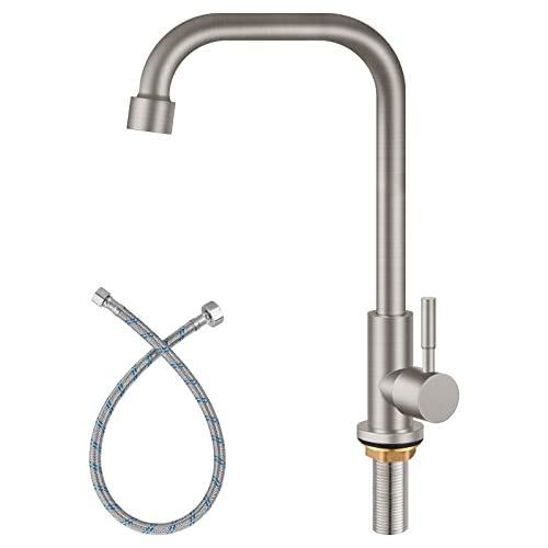 Aolemi Cold Only Water Kitchen Faucet