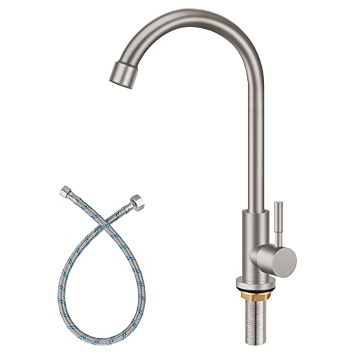 Aolemi Cold Water Kitchen Faucet