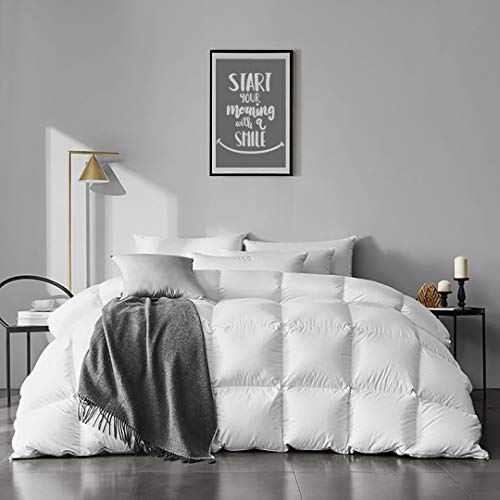 APSMILE Goose Feather Down Comforter
