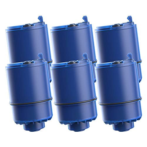 AQUA CREST NSF Certified Water Filter Replacements (6 Pack)