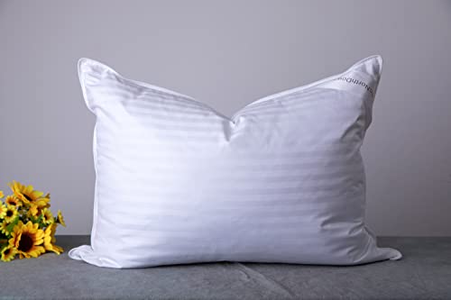 Luxury Goose Down Feather Bed Pillows