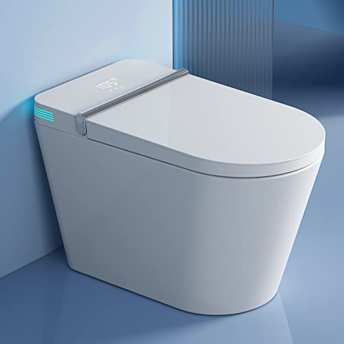 ARRISEA Smart Toilet with Bidet Built in