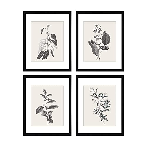 ArtbyHannah 11x14 Inch Framed Botanical Wall Art with Black Frames and Plant Prints for Home Decoration, Gallery Wall Set of 4 with Extra Print Set