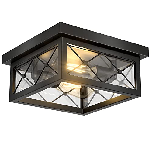 Asnxcju 2-Light Black Flush Mount Ceiling Light with Clear Glass Shade