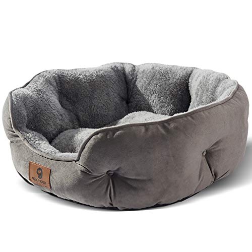 Asvin Small Dog Bed