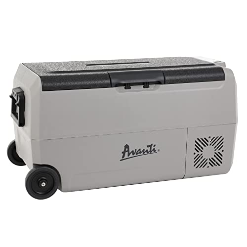 Avanti Portable Refrigerator and Freezer - 36 Liter Capacity