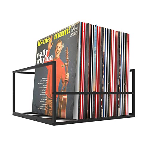 AXEANTS Vinyl Record Storage