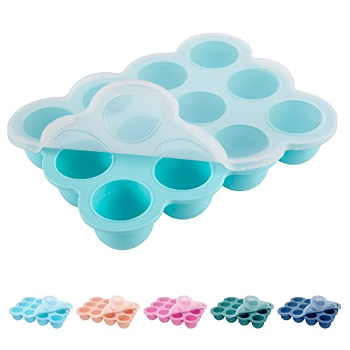 https://storables.com/wp-content/uploads/2023/11/baby-food-freezer-tray-with-lid-41ydmXiRML.jpg