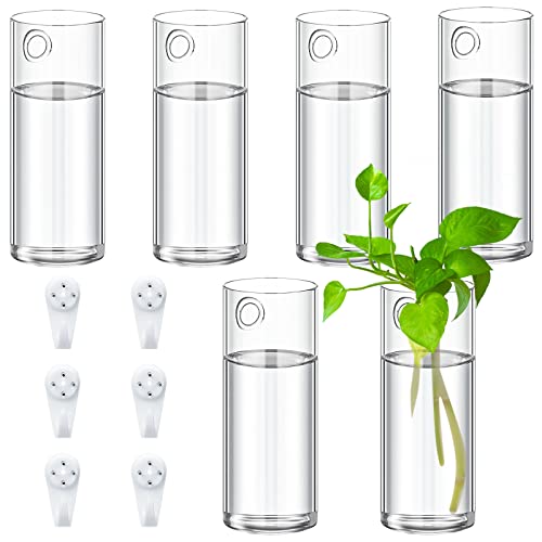 Baderke Glass Wall Vase for Plants Indoor Hanging Propagation Planter Container Holder
