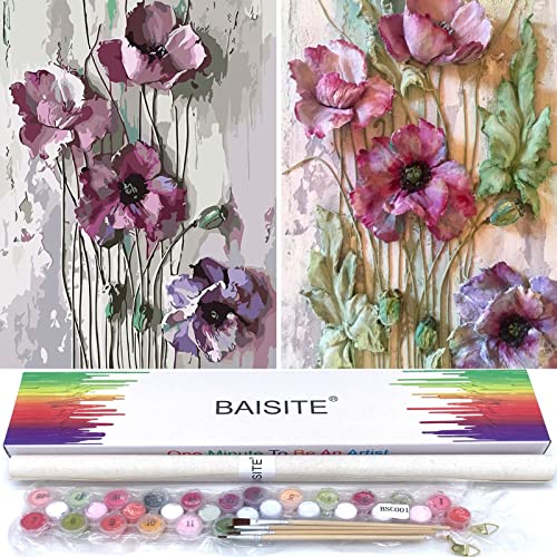 BAISITE Paint by Numbers Kit