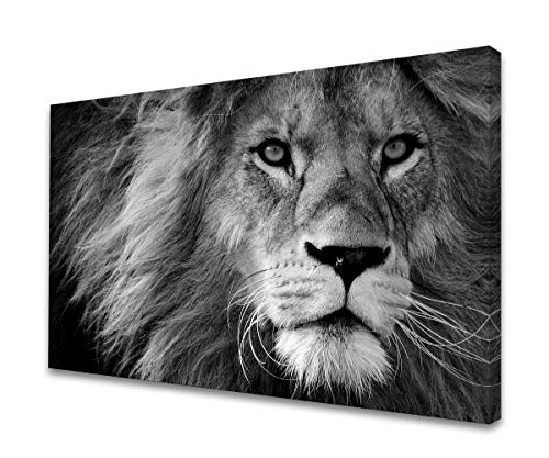 Baisuart Modern Canvas Prints Wall Art