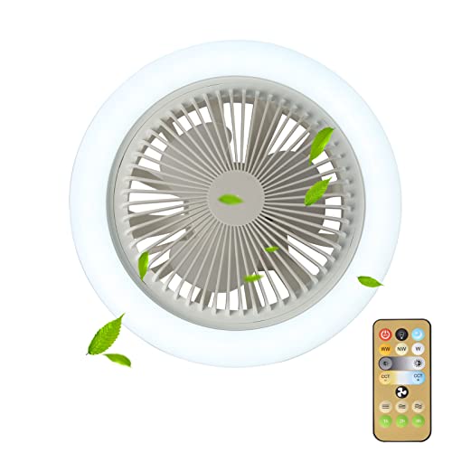 BaoBrot Mini Ceiling Fan With Lights