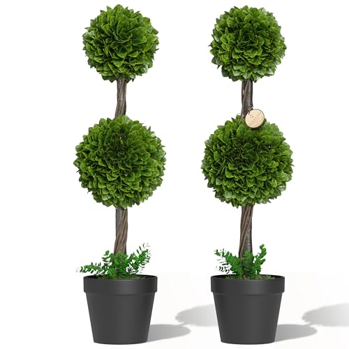 Barnyard Designs Boxwood Topiary Ball Tree Set