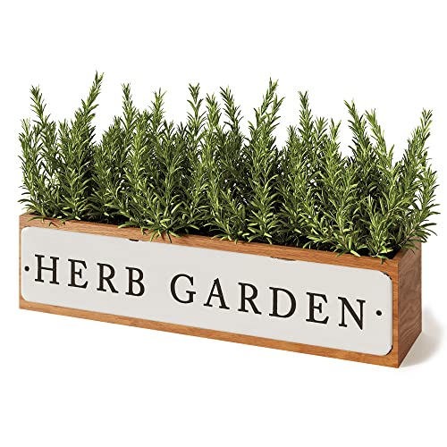 Barnyard Designs Herb Garden Planter