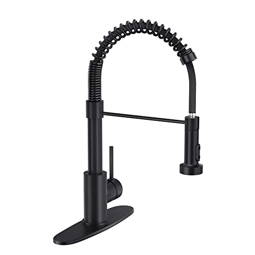 BASDEHEN Black Spring Kitchen Faucet