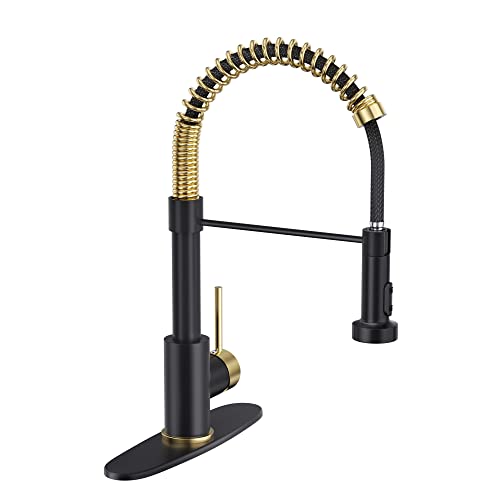 BASDEHEN Kitchen Faucets with Pull Down Sprayer