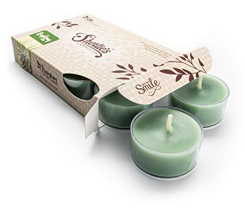 Bayberry Fir Tealight Candles - Nostalgic Scent - Made in the USA