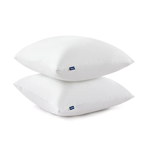 Bedsure 18 x 18 Pillow Inserts - Set of 2