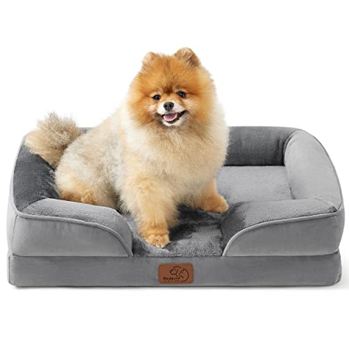 Small Orthopedic Dog Bed: Supportive Foam Pet Couch