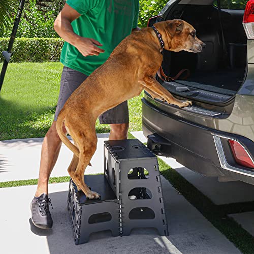 Bee Neat Folding Step Stool for Pets - Indoor Outdoor Foldable Pet Stairs - Gray