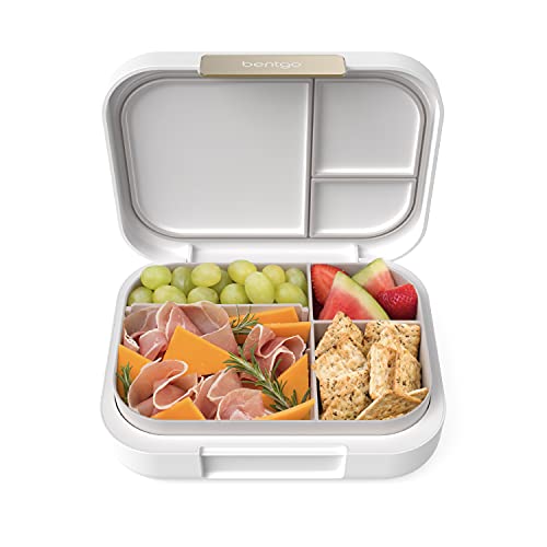 15 Best Modern Lunch Box for 2023