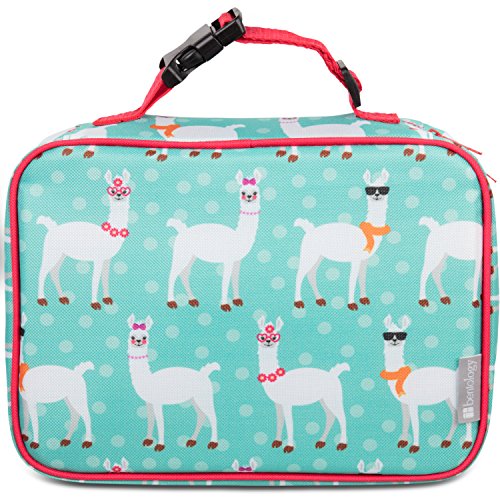 13 Amazing Llama Lunch Box for 2024 | Storables