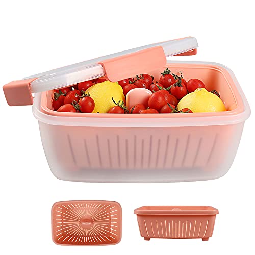 Berry Keeper Container