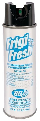 BG Frigi-Fresh Car AC Disinfectant Spray