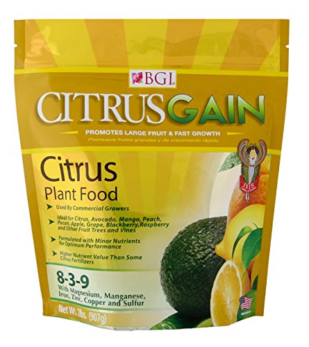 BGI Fertilizers Citrusgain Bag - Essential Citrus Fertilizer