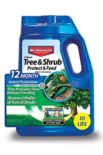 BioAdvanced 12 Month Tree and Shrub Protect and Feed