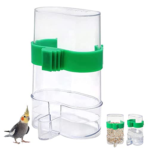 Bird Water Dispenser