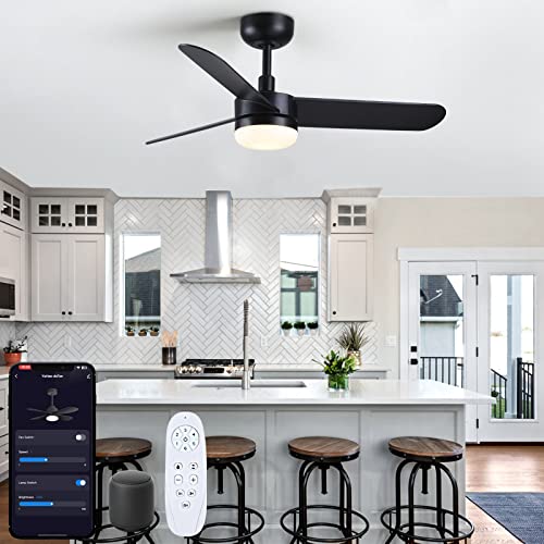 Black Ceiling Fan with Light and Remote Control