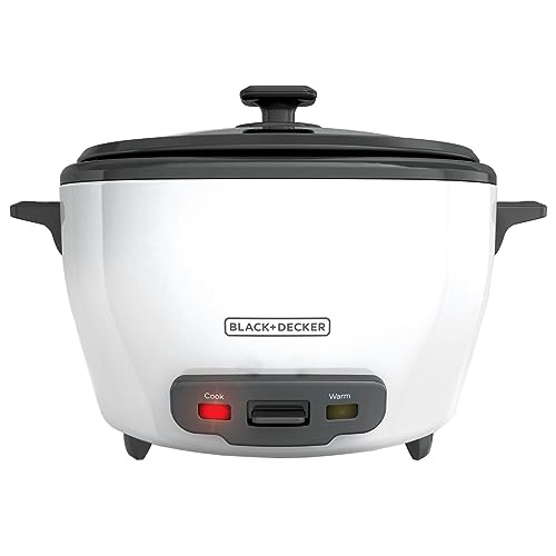 WantJoin Rice Cooker 10L Commercial Rice Cooker & Warmer 42 Cups Capacity for Family, Restaurant, Keep Warm Mode, Stainless Steel, Brown