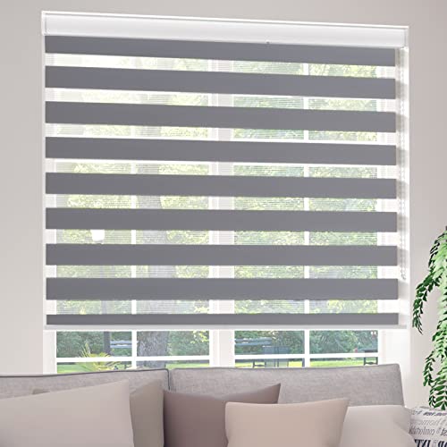 Bliwans Roller Shades, Dual Layer Zebra Blinds for Windows, Grey