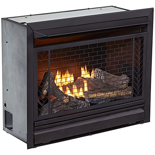 Bluegrass Living 26000 BTU Ventless Gas Fireplace Insert with Remote Control