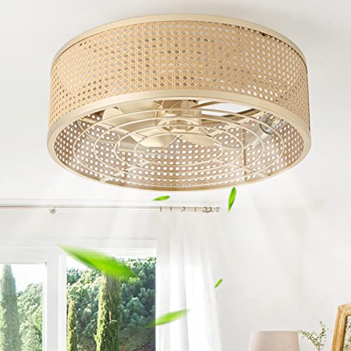 Boho Caged Ceiling Fan with Light