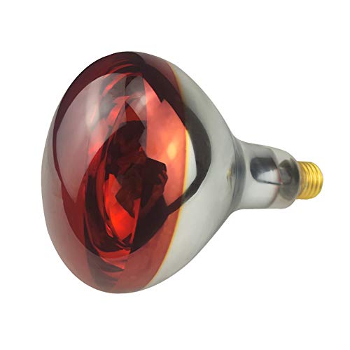 BONGBADA Heat Lamp Bulb - Reliable and Versatile Heat Source