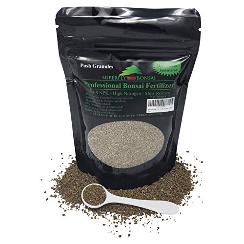 13 Amazing Bonsai Fertilizer for 2024 Storables