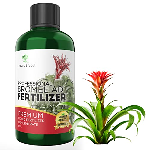Bromeliad Plant Fertilizer