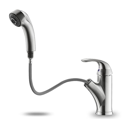 Brushed Nickel Kitchen Faucet with Sprayer
