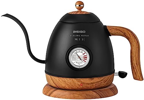 Bsigo Gooseneck Electric Kettle