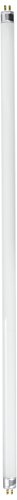 Bulbrite F13T5CW 13-Watt Linear Fluorescent T5 Bulb Miniature, 4100-Kelvin, Mini Bi-Pin Base, 21-Inch